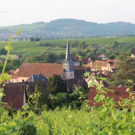A L'Oree Des Vignes, Superbe Logement De 80 M2 Wangen المظهر الخارجي الصورة