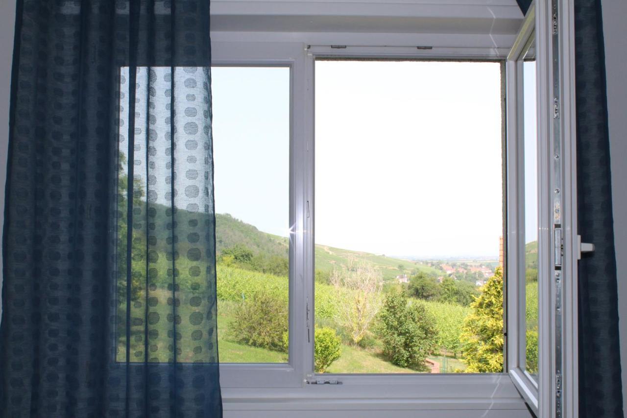 A L'Oree Des Vignes, Superbe Logement De 80 M2 Wangen المظهر الخارجي الصورة