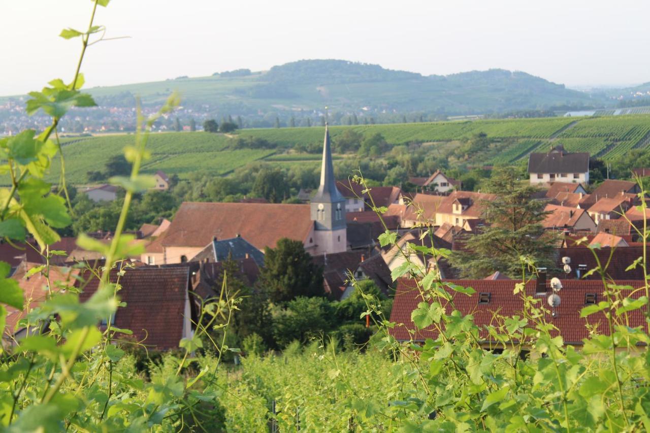 A L'Oree Des Vignes, Superbe Logement De 80 M2 Wangen المظهر الخارجي الصورة